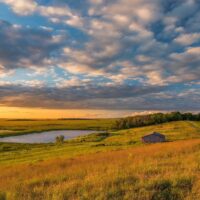 Qu’est-ce qu’une prairie ?