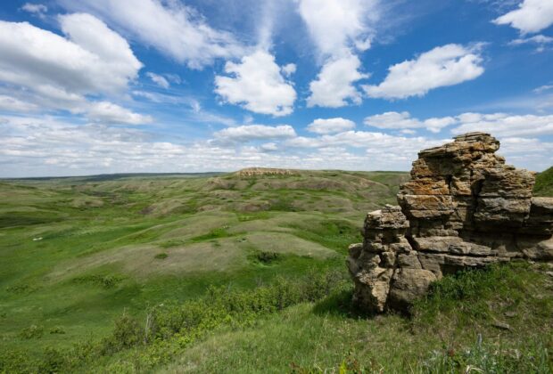 Des chefs de file de la conservation s’allient pour le plus vaste projet de protection de milieux de prairies privés de l’histoire du Canada