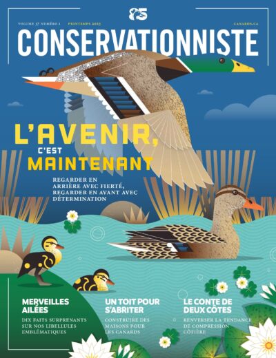 Le Conservationniste