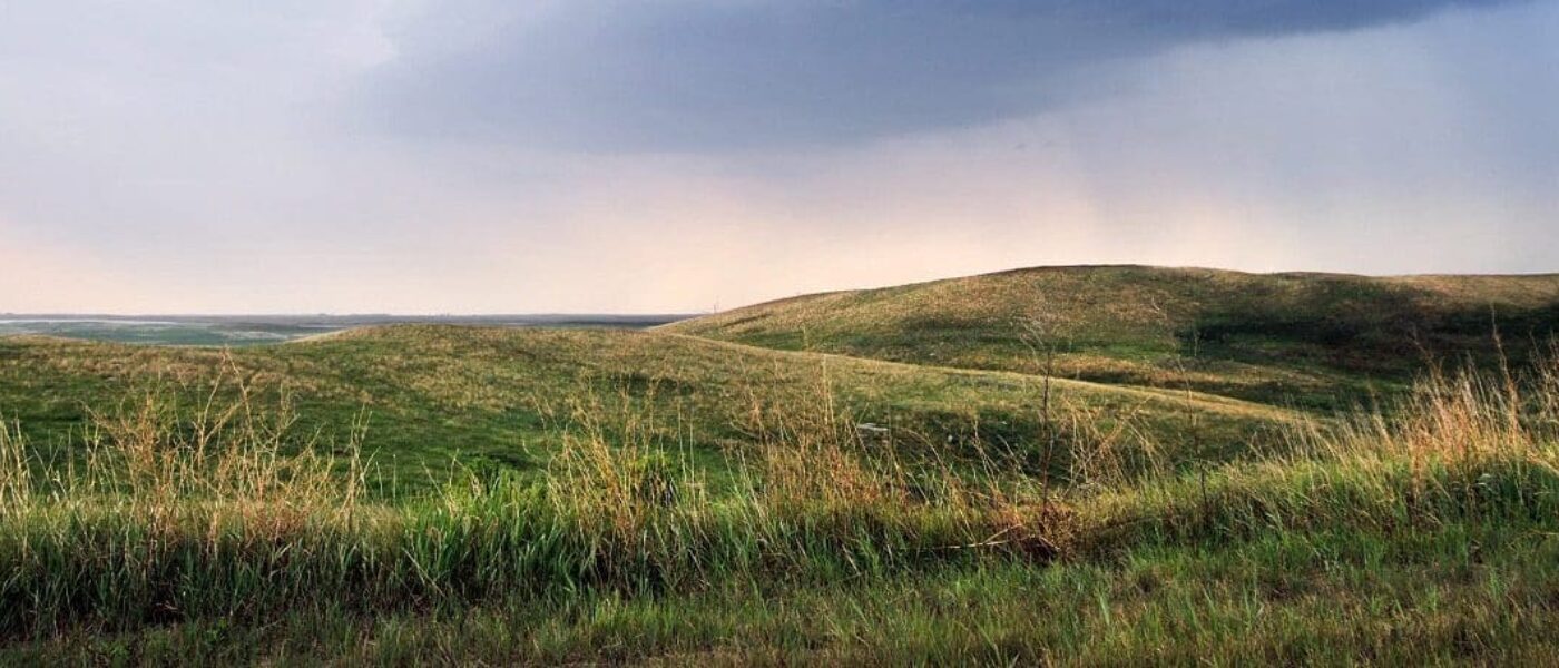 Initiative de la famille Weston en faveur des prairies : aider les agriculteurs et les éleveurs à améliorer la biodiversité sur leurs terres