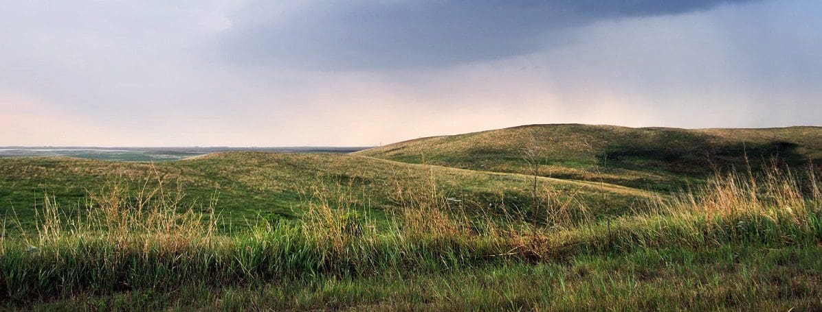 Weston Family Prairie Grasslands Initiative: Helping farmers and ranchers enhance biodiversity on their land 