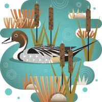 La conservation à long terme