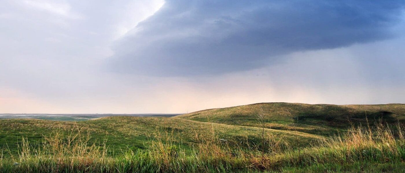 La Weston Family Prairie Grasslands Initiative s'est engagée à verser 5 millions de dollars (2021-2025) au programme de servitudes de conservation de CIC afin de protéger ces écosystèmes écologiquement précieux et menacés. 