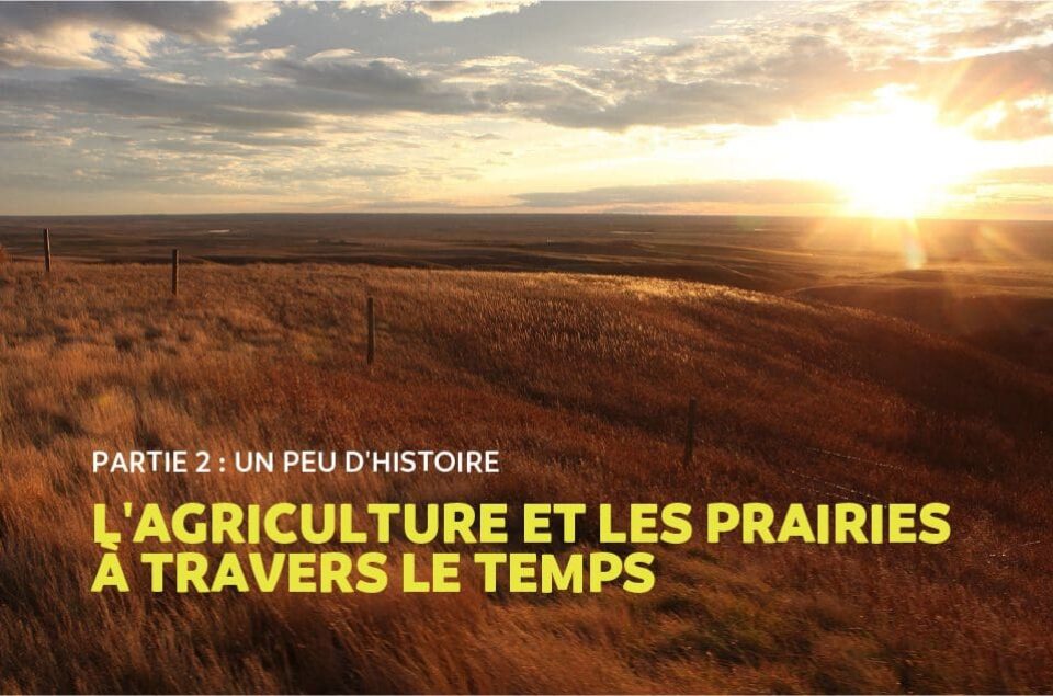 L'agriculture et les prairies a travers le temps