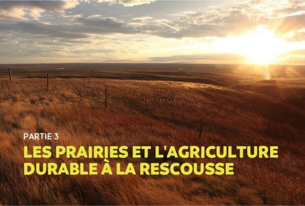 Module 3: L’agriculture durable à la rescousse