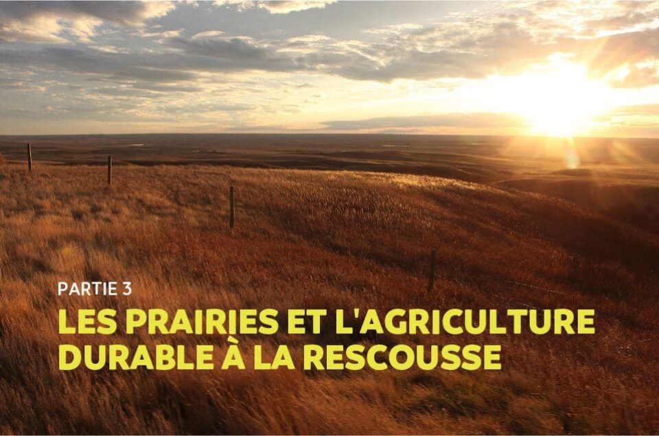 Les prairies et l'agriculture durable a la rescousse