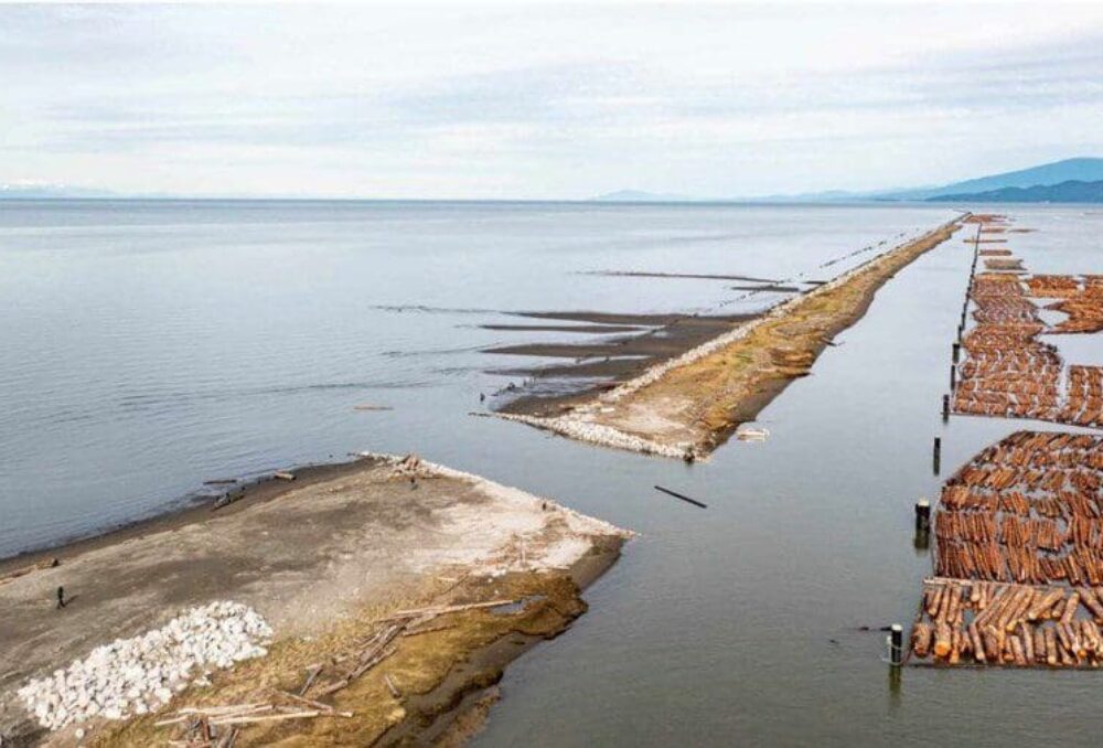 Brèche dans la jetée de North Arm, un site de surveillance dans l'estuaire du fleuve Fraser © Raincoast Conservation Foundation