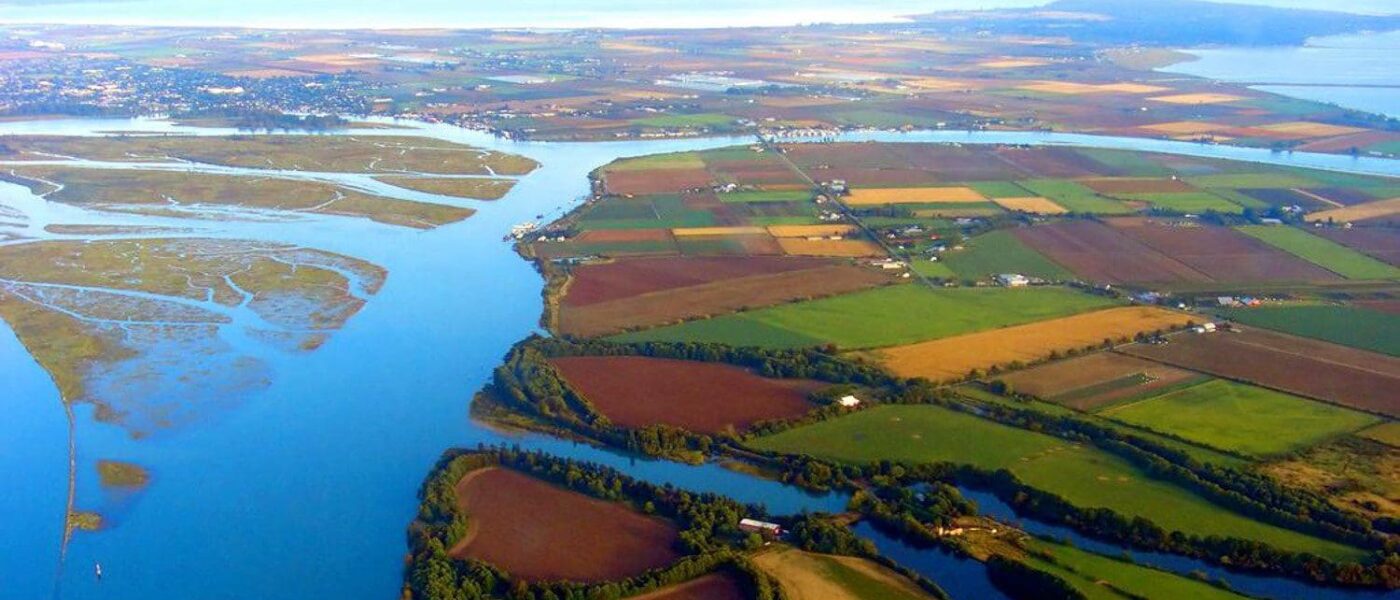 Le partenariat FRESH (Fraser River Estuary Salmon Habitat) comprend CIC, la Raincoast Conservation Foundation, la Première nation Tsawwassen et la Lower Fraser Fisheries Alliance. 