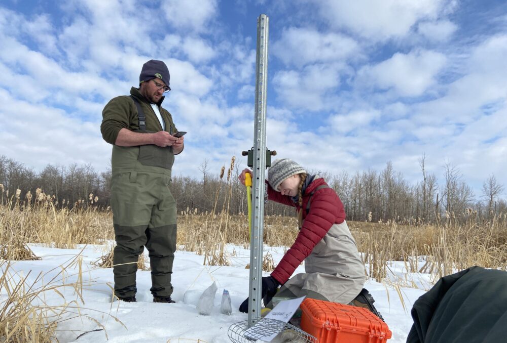 Le personnel installe des caméras de suivi et des unités d'enregistrement autonomes (ARU) dans un projet de milieux humides de CIC près de Tofield/Camrose, en Alberta, au début du printemps.