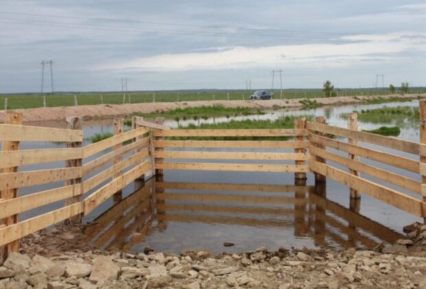 Pâturages communautaires : L’innovation en matière de terres agricoles avec des effets économiques et environnementaux