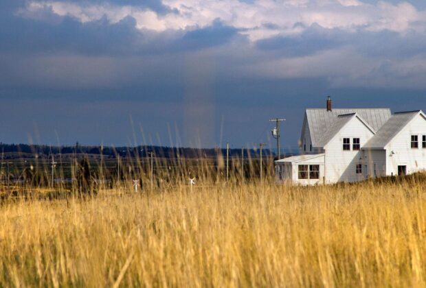 Découvrez les milieux humides du Nouveau-Brunswick