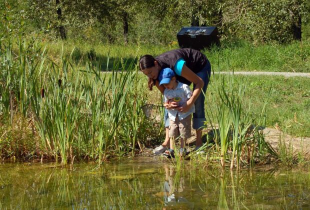 Découvrez les milieux humides de l’Alberta