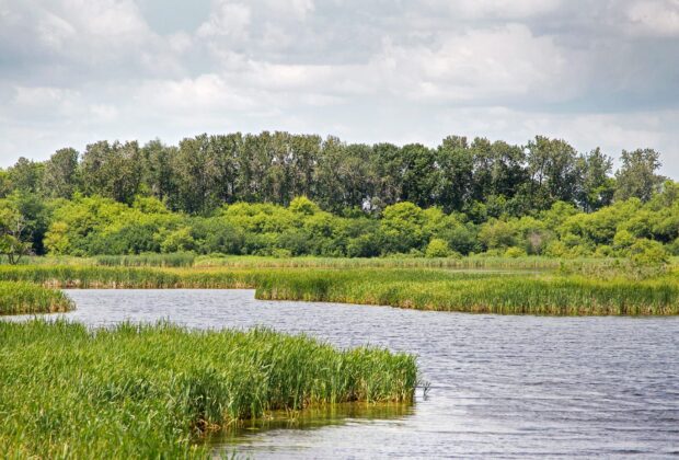 Découvrez les milieux humides du Manitoba