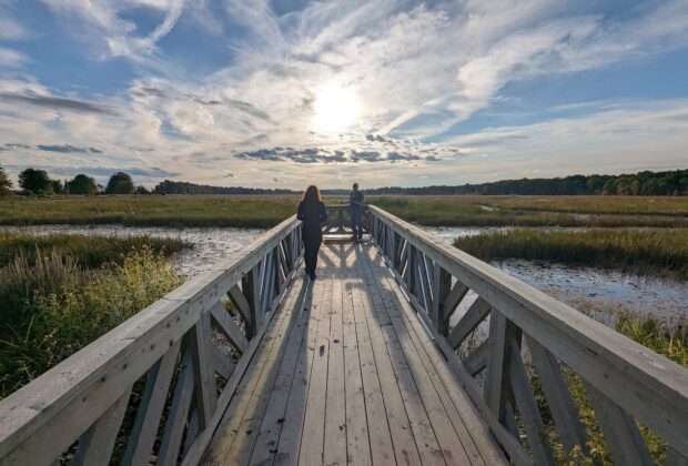 Futur refuge faunique des Grandes-Baies-de-l’Outaouais