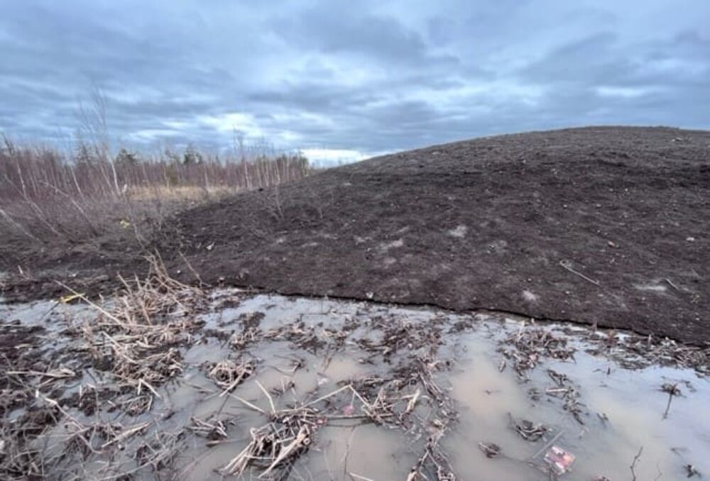 Le milieu humide à l’œuvre : Les eaux de ruissellement sont captées par le milieu humide construit au dépôt de neige de Berry Mills. 