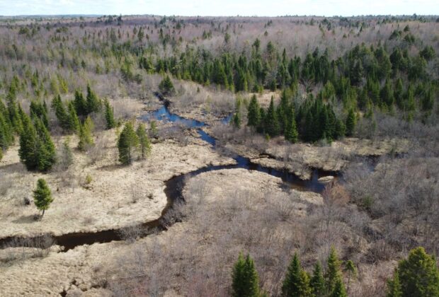 Canards Illimités Canada contribue à la protection d’un corridor écologique d’importance à Saint-Colomban