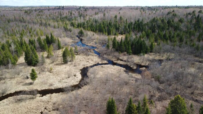 Site du projet de protection du ruisseau Légaré