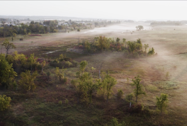 Plus de 500 hectares de milieux humides conservés grâce à des projets d’envergure  en collaboration avec le gouvernement du Québec