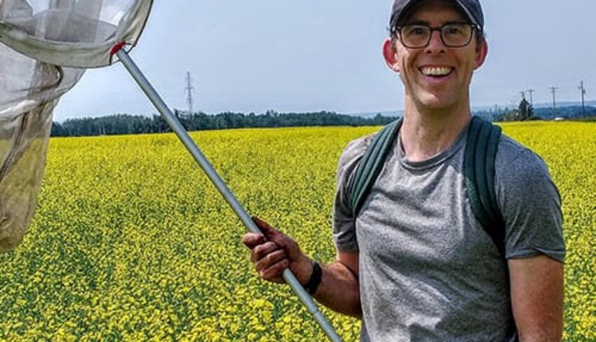 Comment les « terres cultivées en désordre » aident les agriculteurs et les pollinisateurs