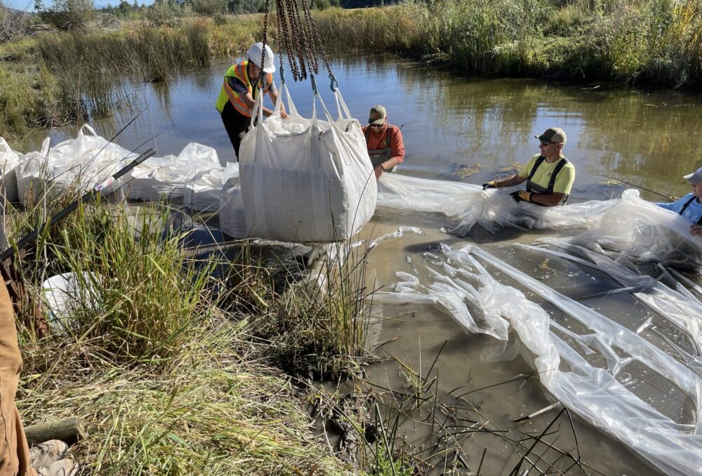 Environmental consultants from DWB, and DUC staff installed barriers to prevent fish from entering the work zone.