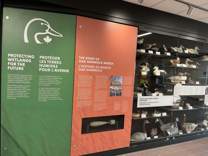 Une partie de la collection de Peter Brown est restée au Canada et est exposée périodiquement au Harry J. Enns Wetland Discovery Centre au Manitoba, site du siège social national de CIC. 