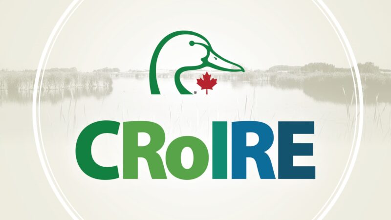 ICRoIRE logo