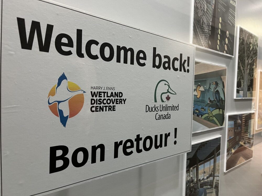 Le Centre de découverte des terres humides de Canards Illimités Canada au marais Oak Hammock rouvrira ses portes au public le 24 mai après d’importantes rénovations