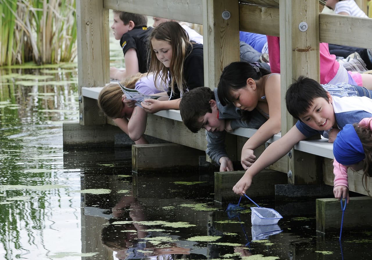 Kids critter dipping on boardwalk