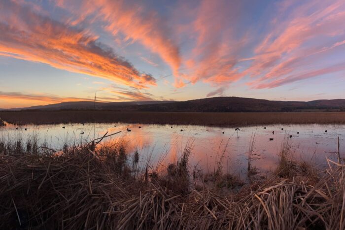 Magnifique coucher de soleil pendant la chasse au canard au marais CIC à Riverside-Albert!
