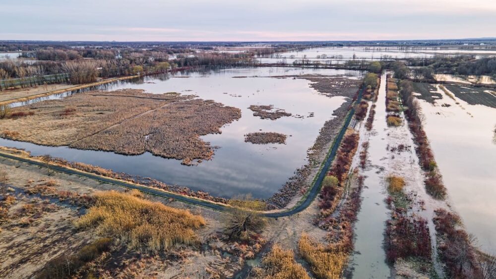 L’équipe du Québec de Canards Illimités Canada inaugure son premier sentier pédestre à Maskinongé, dans la région du lac Saint-Pierre, réputée pour sa biodiversité exceptionnelle