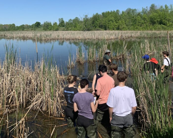 Les élèves de l’école secondaire Louis-Joseph-Papineau découvrent les espèces présentes dans un étang du parc national de Plaisance. 