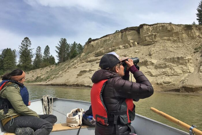  Rachel Darvill examine les rives du fleuve Columbia, à la recherche de nids d’hirondelle de rivage. Elle a été embauchée pour diriger le « Upper Columbia Swallow Habitat Enhancement Project » (projet d’amélioration de l’habitat des hirondelles du cours supérieur du fleuve Columbia) pour aider les populations de la région à se rétablir.