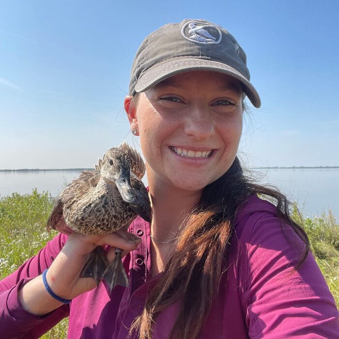 Les colverts sont un des principaux axes de recherche pour les scientifiques de CIC, y compris les étudiantes au cycle supérieur Cassidy Waldrep et Kelsie Huss (ci-dessus).