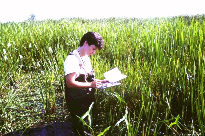 Claudie au marais Thurso en 1989 ou 1990.