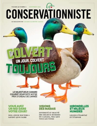 Le Conservationniste
