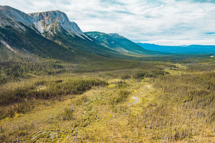 Milieu humide boréal du Yukon