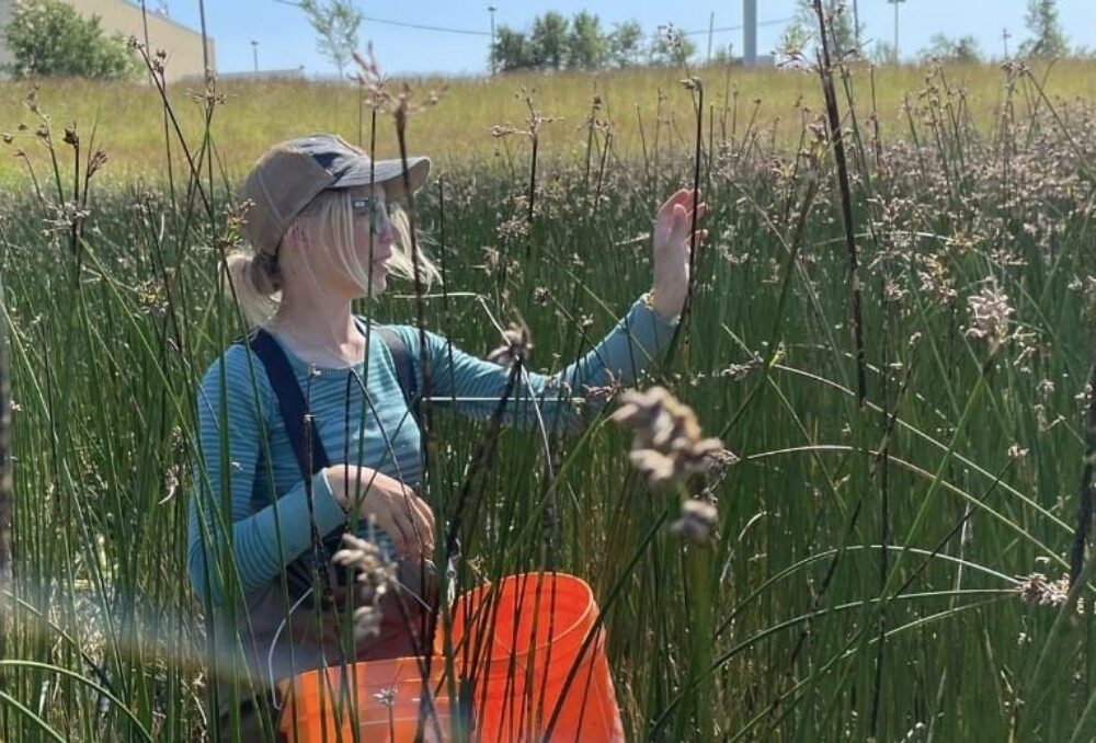 Tessa in a wetland site in Manitoba 