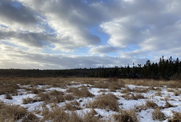 Assurer la conservation des espaces sauvages à Terre-Neuve-et-Labrador