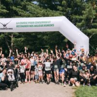 Devenir commanditaire