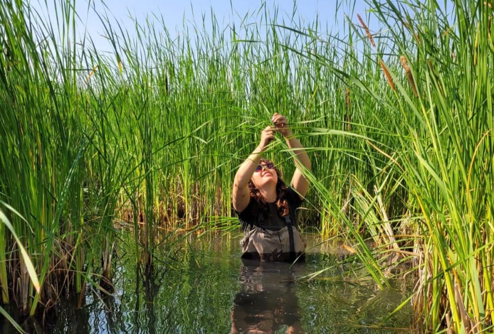 Cool day hanging out in the pond