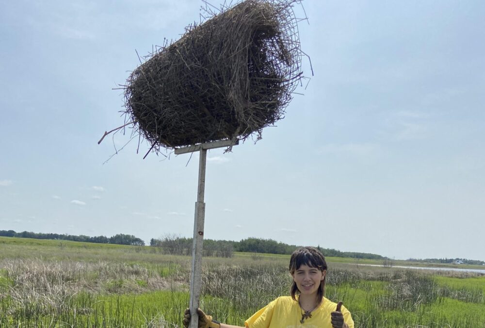 Ana stands with a completed bird box  