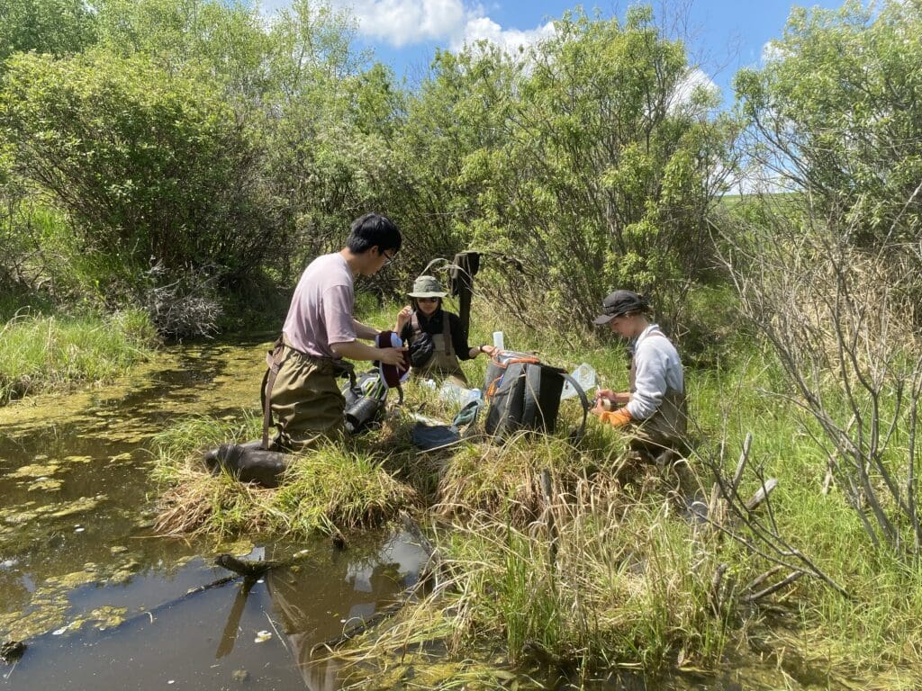 Jenna, Richard, and Jess collecting water samples, 2024