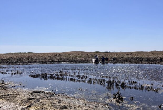 Sur le terrain : postes d’été au sein des équipes de conservation de CIC