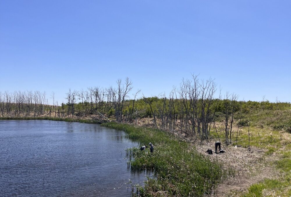 A photo from Chet’s field work at “a classic Saskatchewan project” 