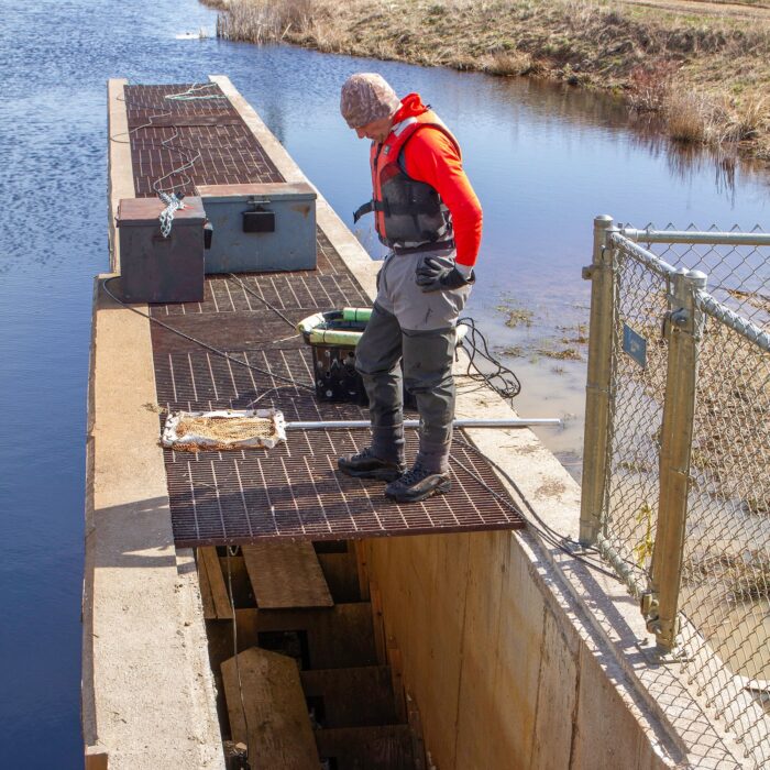 Aaron Spares, le biologiste aquatique de CIC surveille le passage du poisson à la passe à poissons du marais de Missaquash de CIC, à la frontière entre le Nouveau-Brunswick et la Nouvelle-Écosse. 