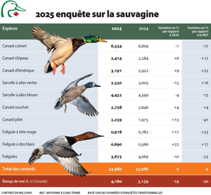 Données sur la zone d'étude 2025
