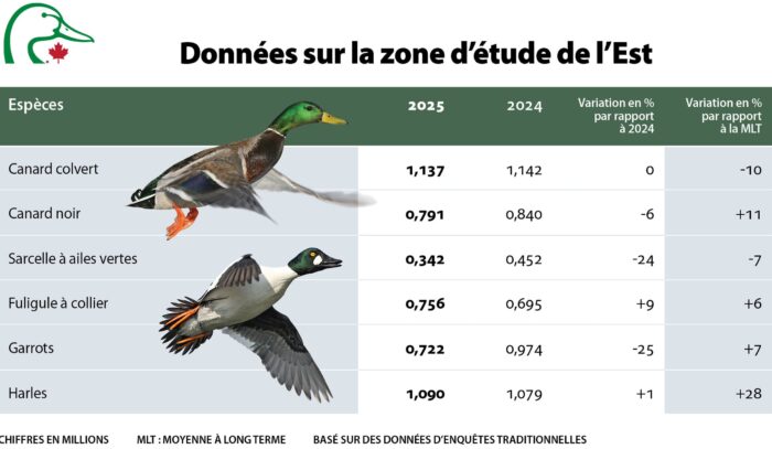 Données sur la zone d'étude de l'Est 2025