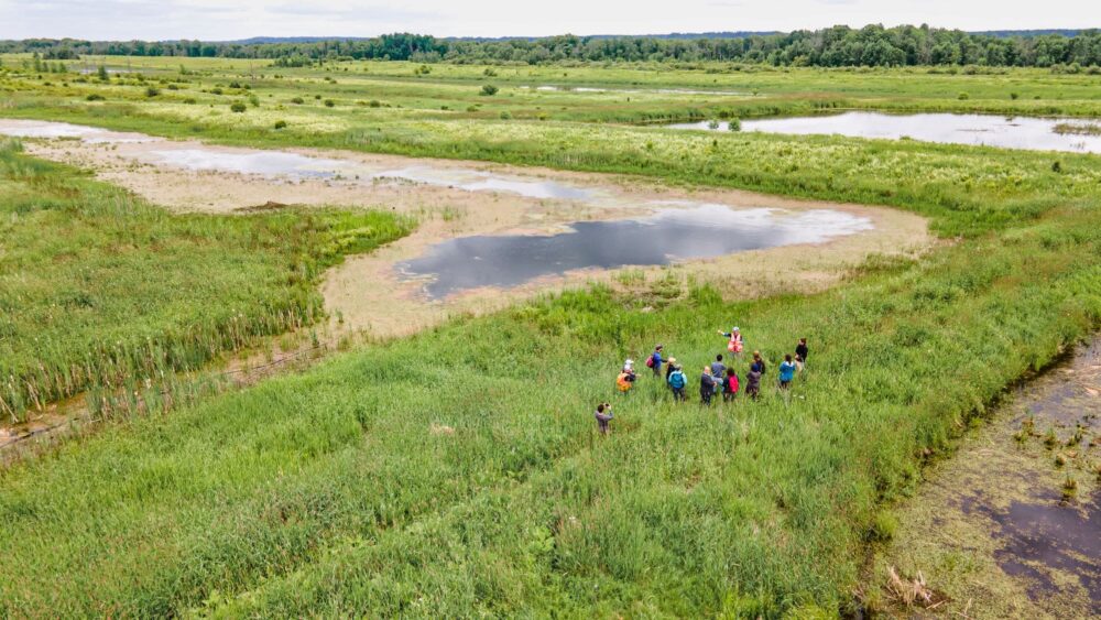 15 ans de cartographie détaillée des milieux humides et de partenariats