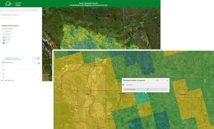 Capture d'écran de l'utilisation de l'outil