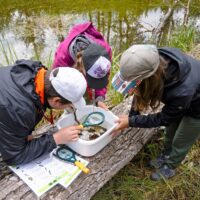 Ancrés dans la nature pour grandir ensemble